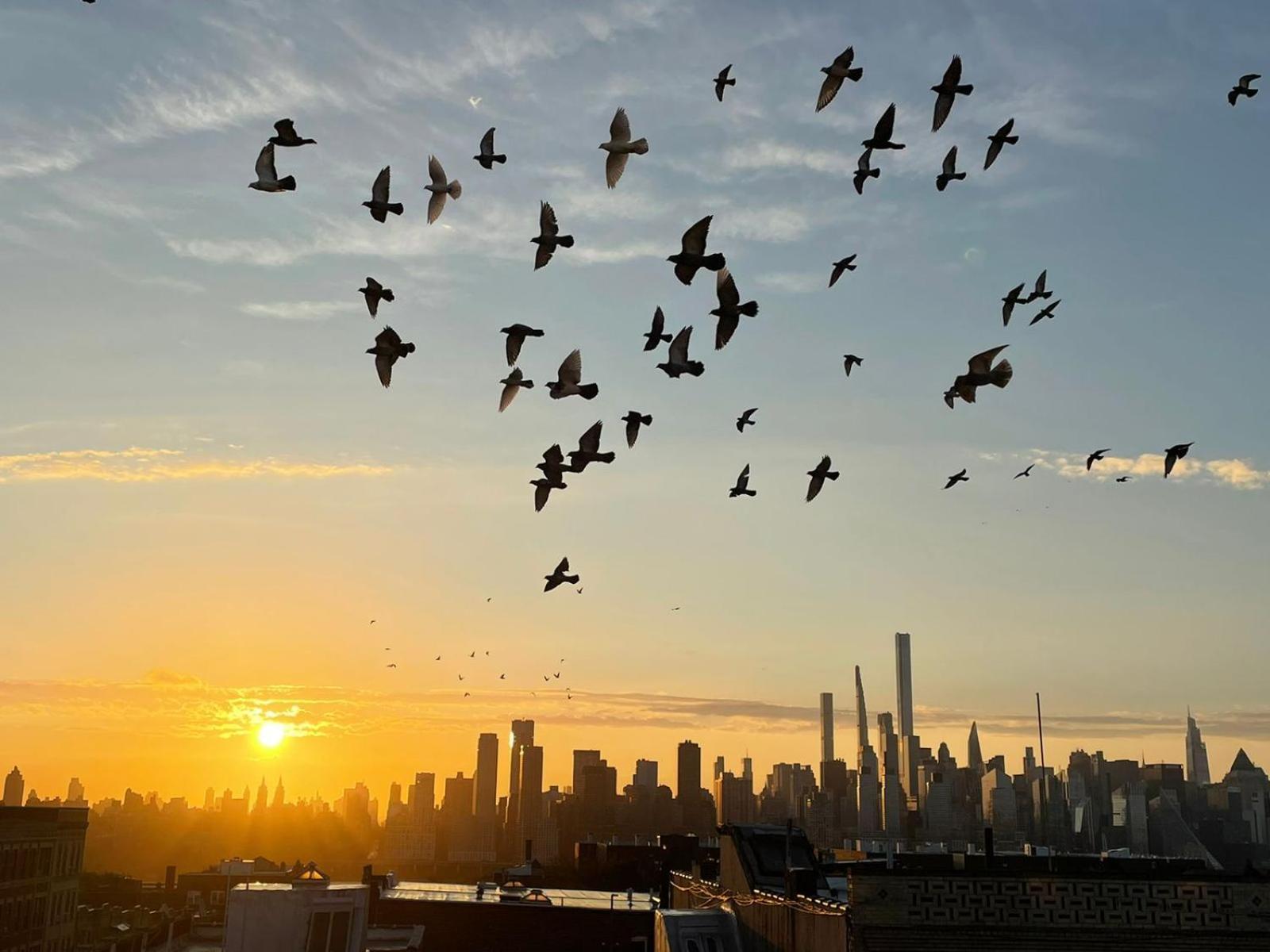 See Ny Now Sleeps 21 Union City Exteriör bild